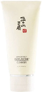 Aishitoto Gokayama Soya Extract Cleanser
