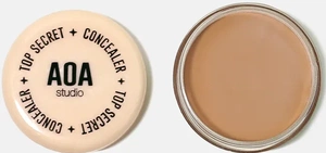 AOA Studio Top Secret Concealer