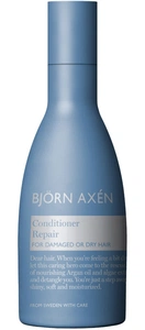 Björn Axén Repair Conditioner