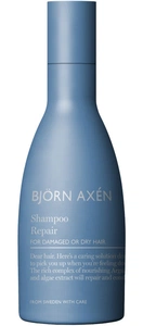 Björn Axén Repair Schampo