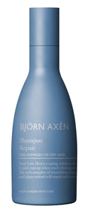 Björn Axén Repair Shampoo