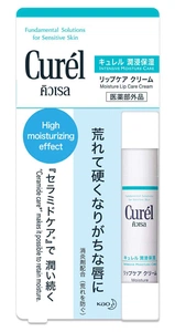 Curél Intensive Moisture Care Moisture Lip Care Cream
