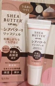 Daiso Shea Butter Lip Gel