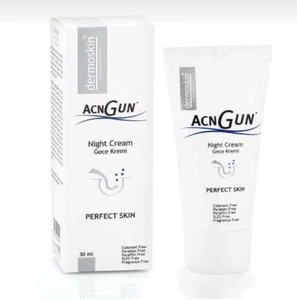 Dermoskin Acngun Night Cream