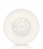 DHC Mild Soap