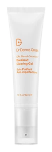 Dr Dennis Gross Drx Blemish Solutions™ Acne Eliminating Gel