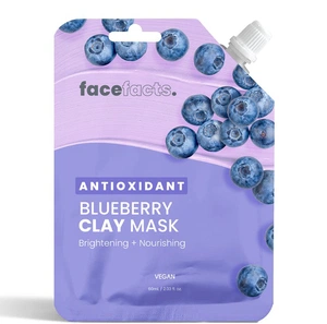 Face facts Antioxidant Blueberry Clay Mask