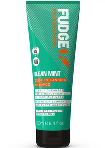 Fudge Professional Clean Mint Deep Cleansing Shampoo