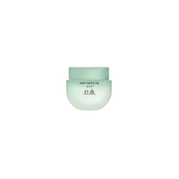 HANYUL Pure Artemisia Calming Water Cream - 55ml