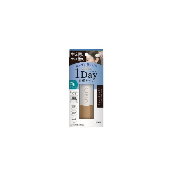 hoyu Cielo 1 Day Cover Gray Hair Color Comb - 9ml