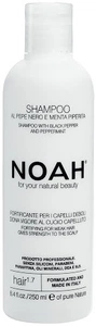 NOAH Fortifying Shampoo For Weak Hair, Strengthen The Scalp
