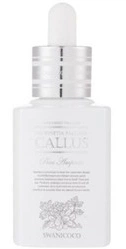 Swanicoco Neofinetia Falcata Callus Pure Ampoule