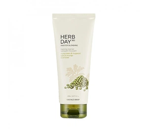 Thefaceshop Herb Day 365 Master Blending Foaming Cleanser Mungbean & Mugwort