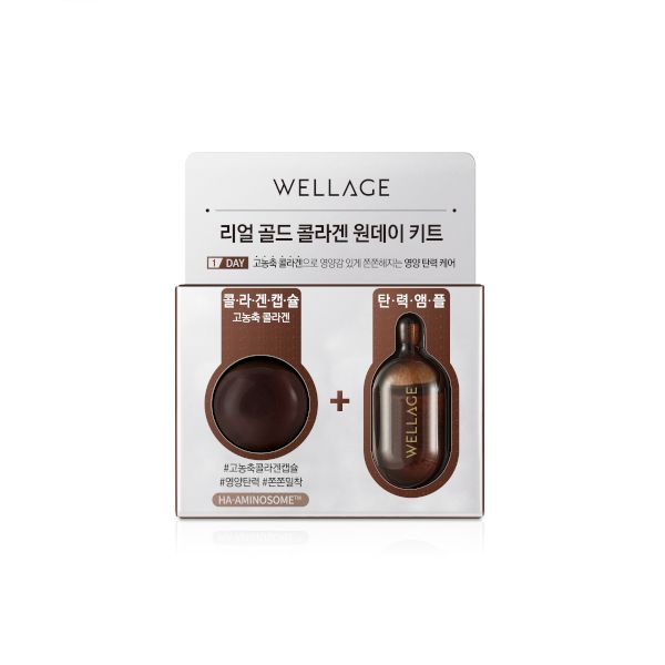 Wellage Real Gold Collagen One Day Kit - 1pc