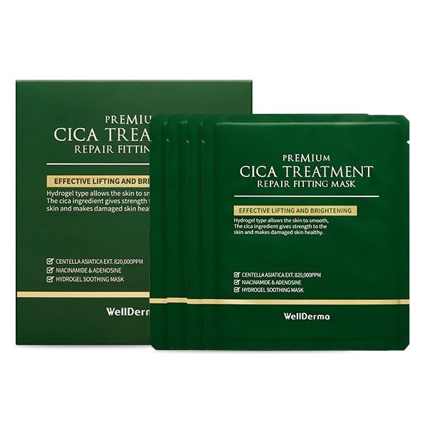 WELLDERMA Cica Treatment Repair Fitting Mask - 4pcs
